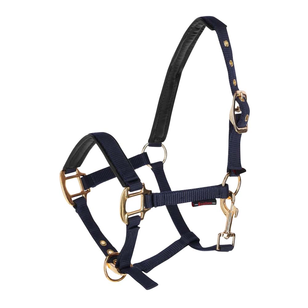 Cavezza Puledro Topline Con Gancio A Fibbia