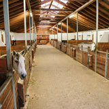 IPCam 360 FHD Compatta/mini con Visione Notturna Wi-Fi