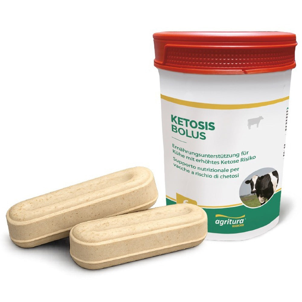 Agritura Dynamix Bolus Ketosis 12x90gr