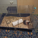 Small animal cage baldo cage