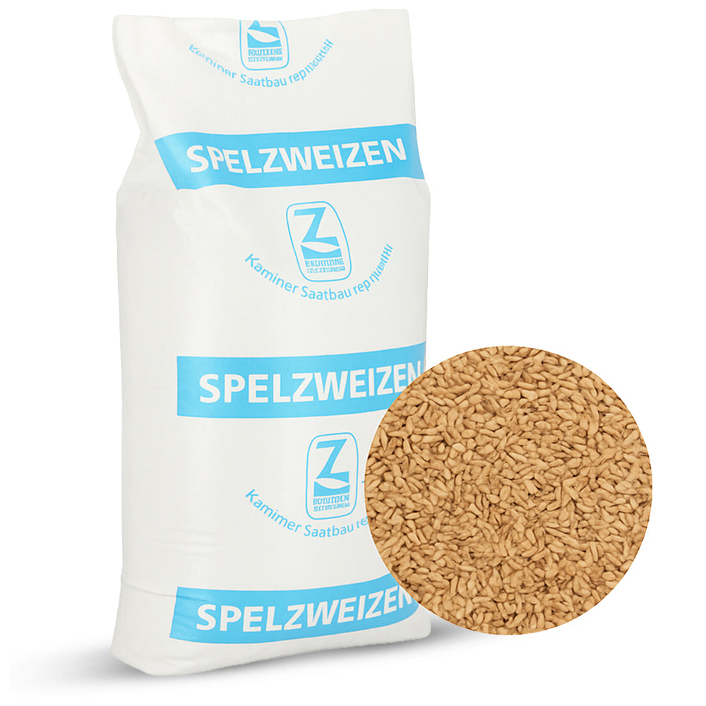 Sommer-Saatdinkel Wirtas konv. unb. 30kg – Ertragreiches, robustes Getreide
