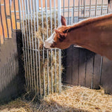 Mangatoia da Parete Regolabile per Cavalli – da 1,00 a 2,00 m per Stalla e Recinto