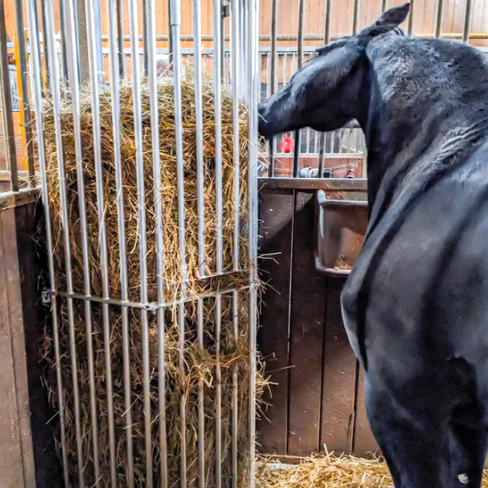 Mangatoia da Parete Regolabile per Cavalli – da 1,00 a 2,00 m per Stalla e Recinto