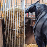 Mangatoia da Parete Regolabile per Cavalli – da 1,00 a 2,00 m per Stalla e Recinto