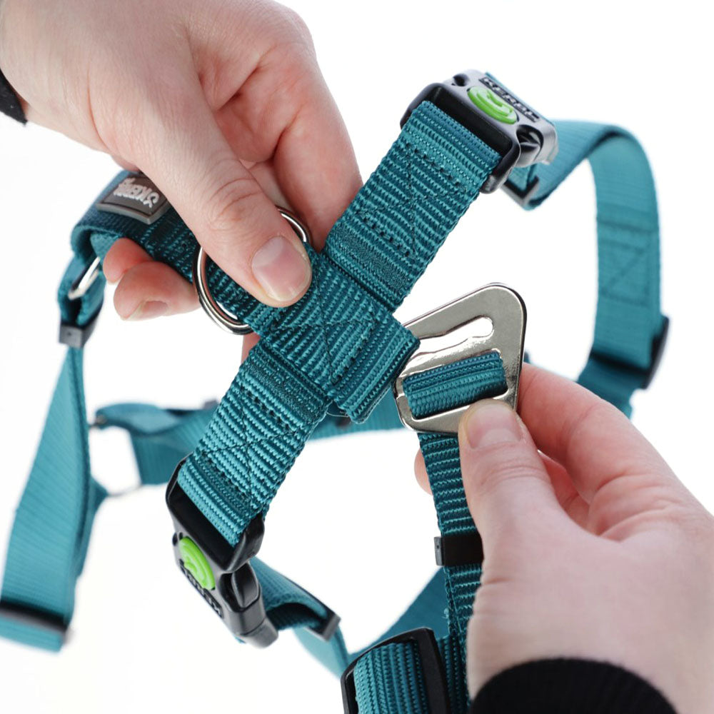 Pettorina antipanico Miami per cani