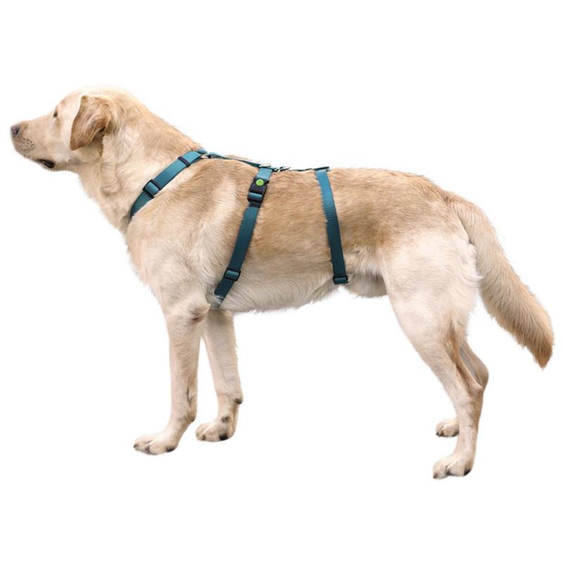 Pettorina antipanico Miami per cani