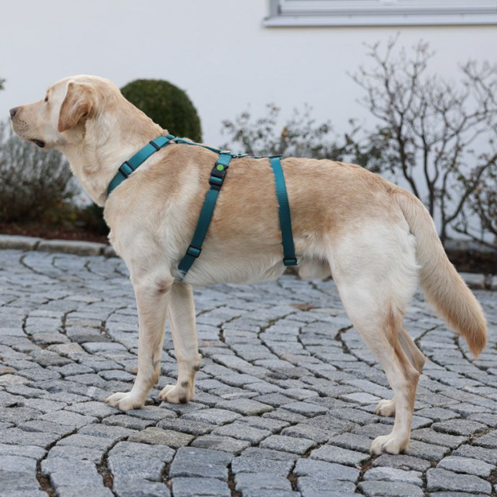 Pettorina antipanico Miami per cani