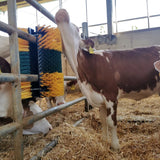 Set completo spazzola Multifix angolare per grattarsi – Ideale per bovini, cavalli e altri animali