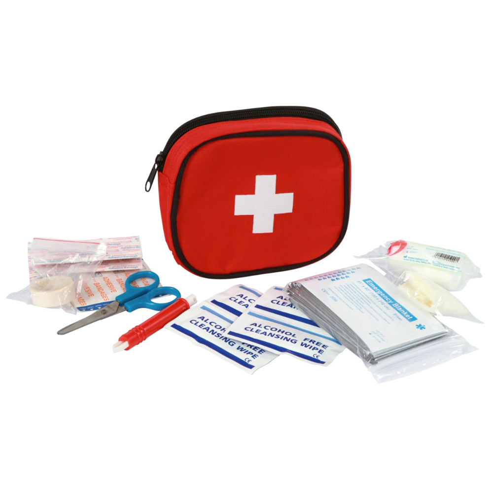 Borsa di pronto soccorso per cani