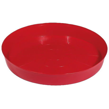 Vassoio di Avviamento Pulcini – Design Robusto