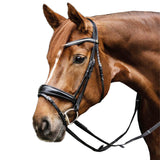 Briglia Filetto S-Line Essential in Pelle Nera