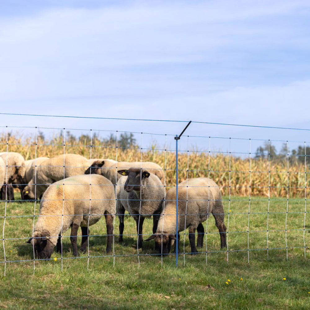 Set Integrativo WolfStop per Reti da Pascolo – 10 Pezzi