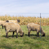 Set Integrativo WolfStop per Reti da Pascolo – 10 Pezzi