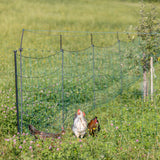Set Integrativo WolfStop per Reti da Pascolo – 10 Pezzi