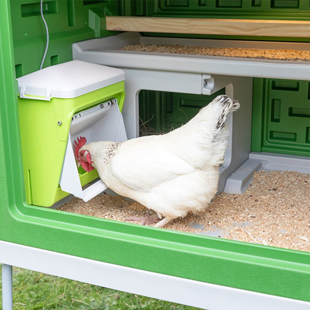Distributore Automatico SmartCoop con Sportello di Sicurezza per Polli e Volatili
