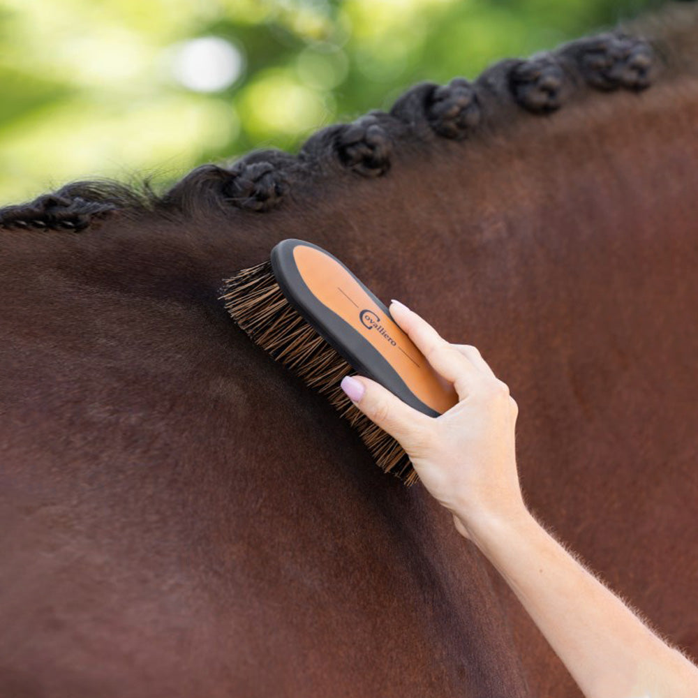 Covalliero spazzola 2K con impugnatura morbida