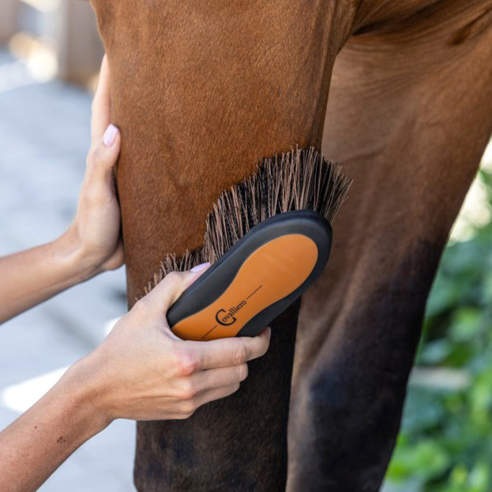 Covalliero spazzola 2K con impugnatura morbida