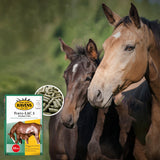 HAVENS Ferto-LAC 3 – Mangime per Fattrici in Gestazione e Lattazione 25kg