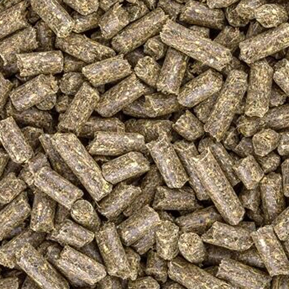 Alimento completo per cavalli Gastro+ da 20kg