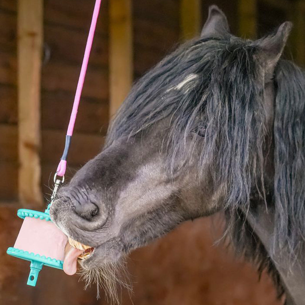 Supporto Likit per blocchi da leccare per cavalli