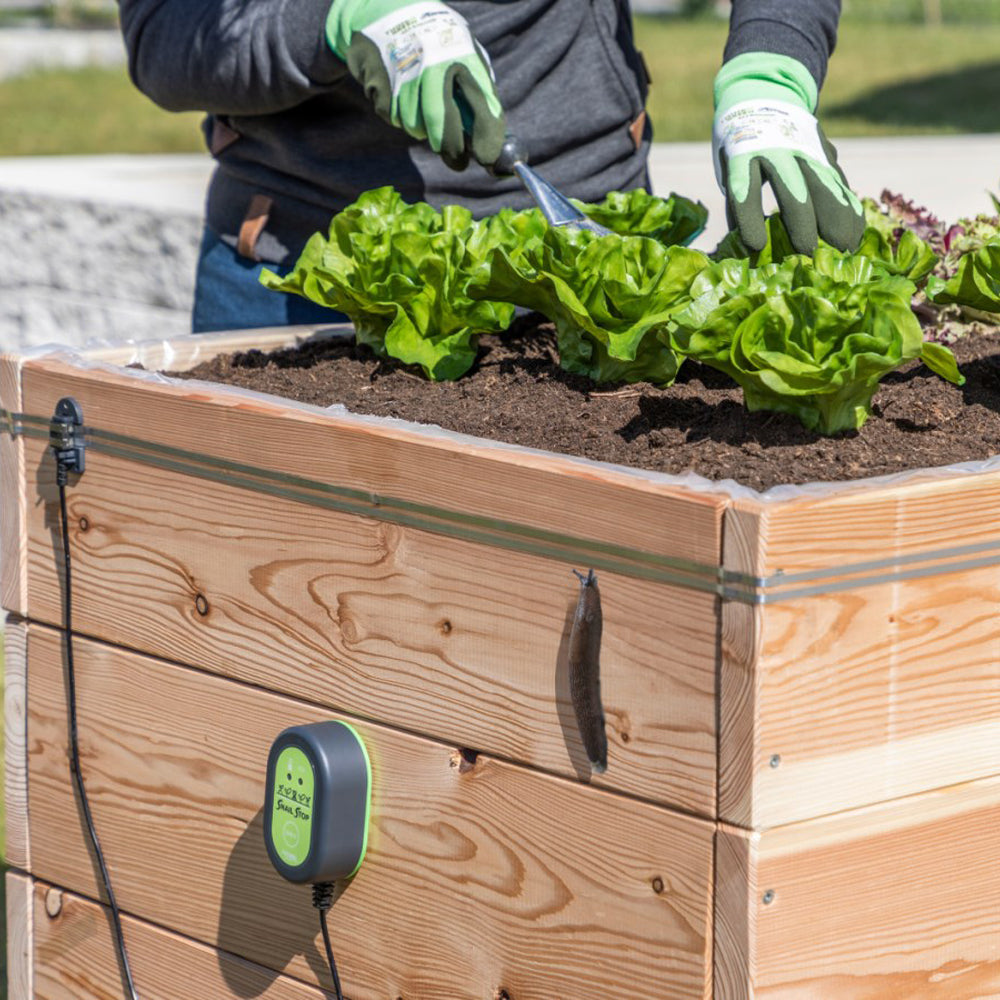 Snailstop recinzione elettrica contro le lumache per ortaggi