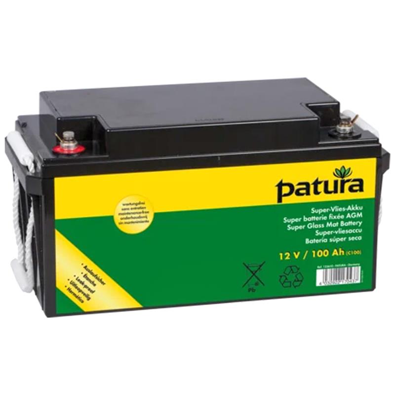 PATURA P4600 Elettrificatore Recinto Elettrico con Scatola di Sicurezza