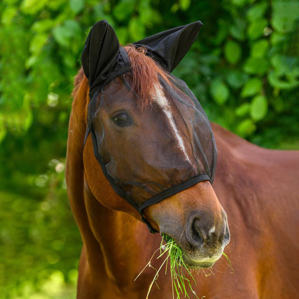 Maschera antimosche cavalli Basic con orecchie - Nero