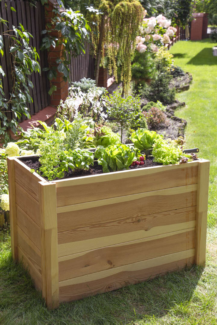 Natura - Letto Rialzato da Giardino in Legno per Orto, Fiori e Verdure