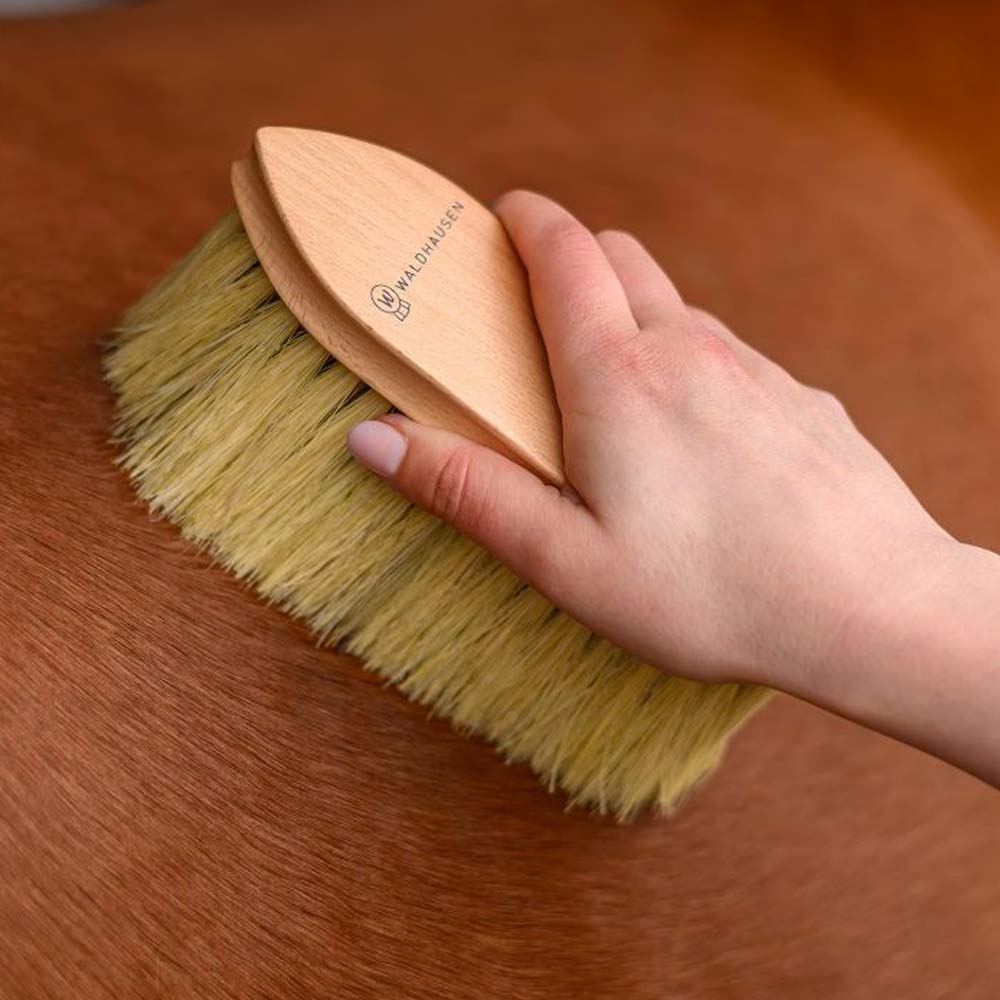 Spazzola Exclusive Line Cavallo per Cura del Pelliccia