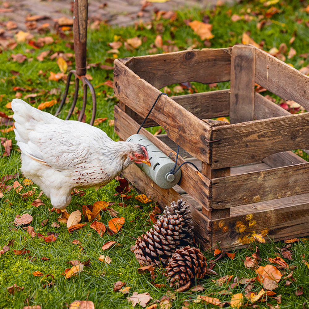 Rotolo di snack riciclato al 100% per giocattolo per l'alimentazione dei polli
