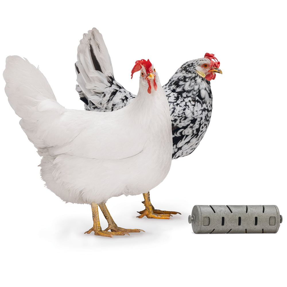 Rotolo di snack riciclato al 100% per giocattolo per l'alimentazione dei polli