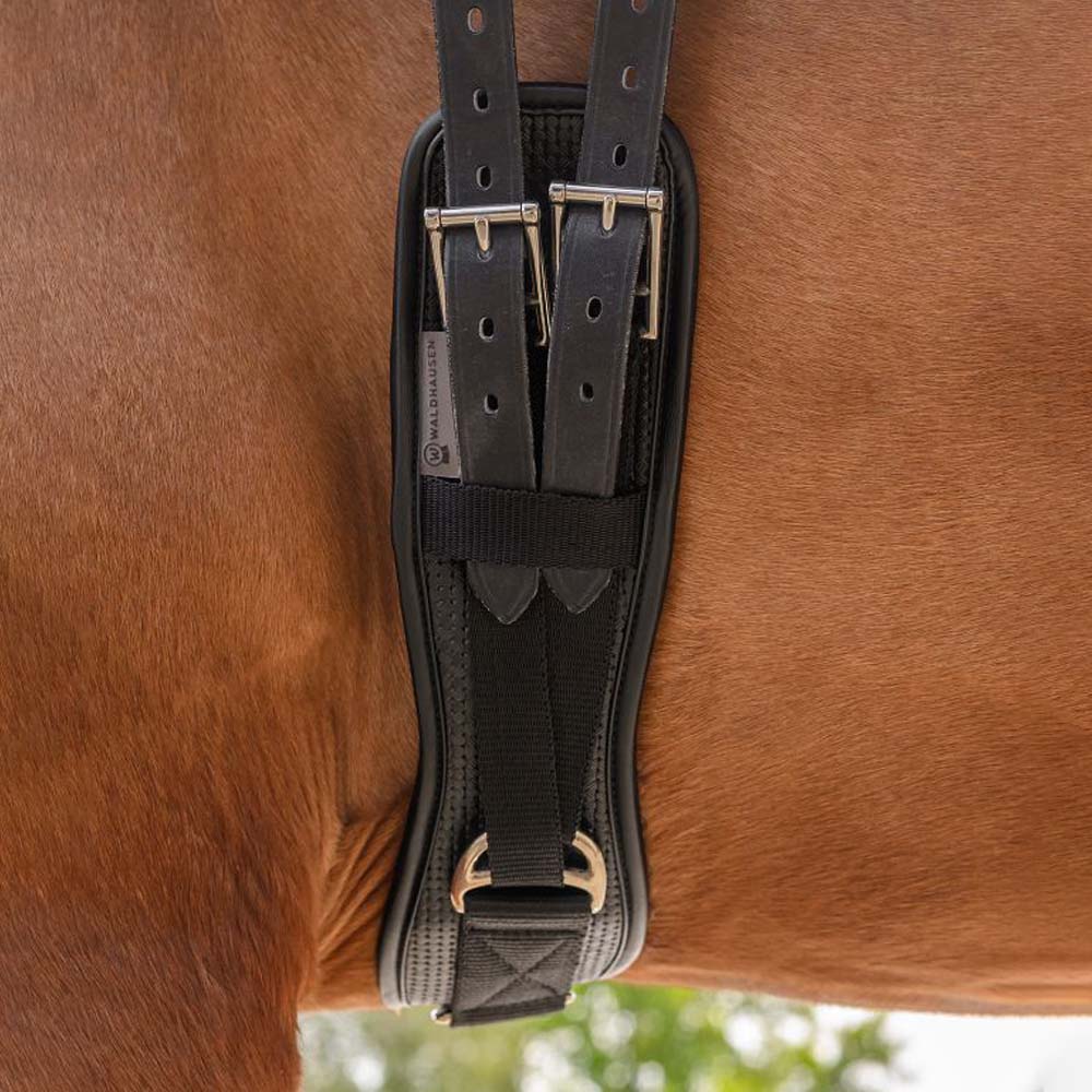 Sottopancia Corto Basic con Fibbie Inox – Nero