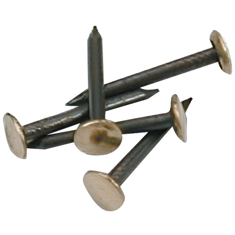 Chiodi in Acciaio con Testa in Ottone