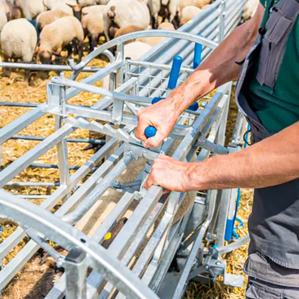 Cassa Girevole per Pecore con Telaio Mobile