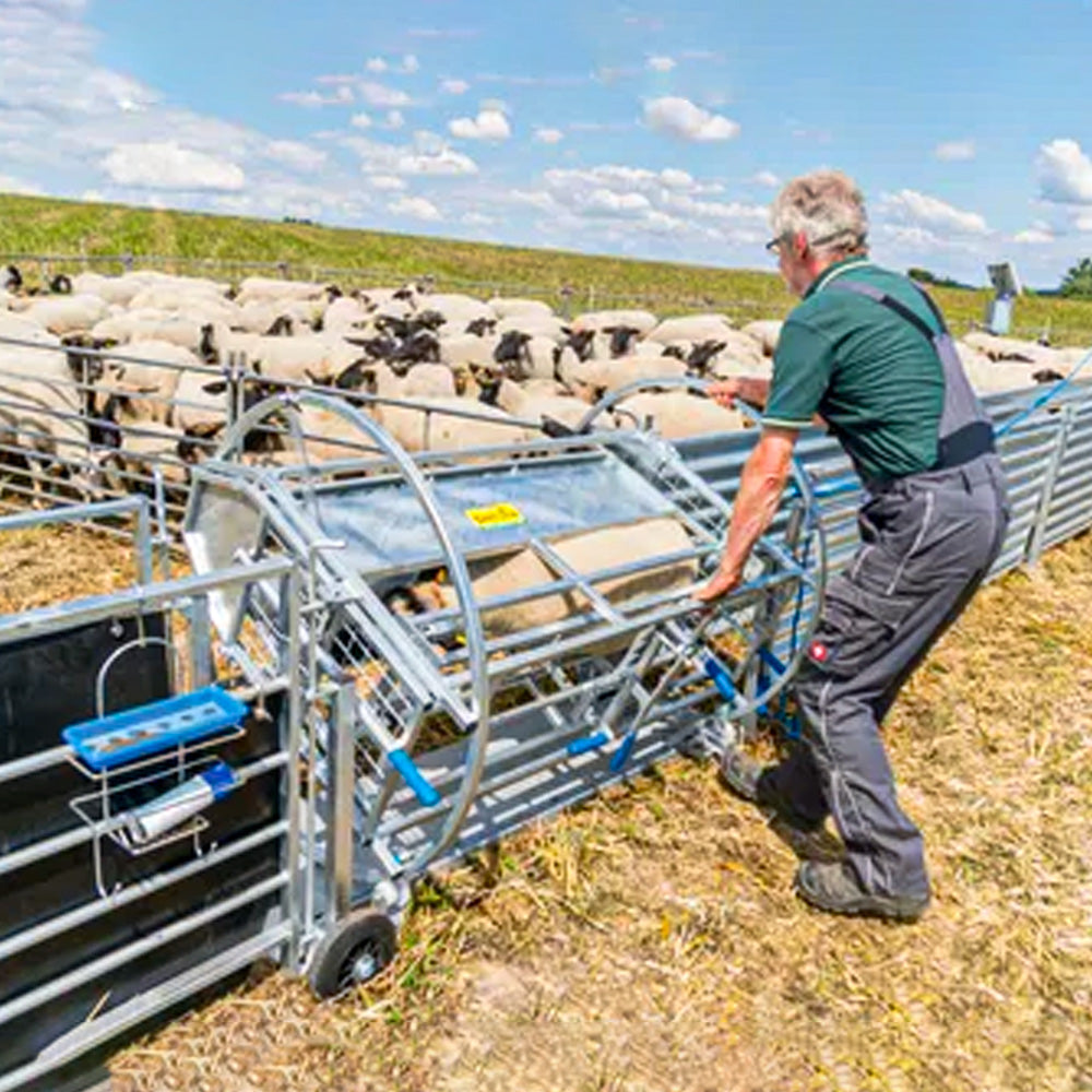 Cassa Girevole per Pecore con Telaio Mobile