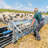 Cassa Girevole per Pecore con Telaio Mobile