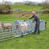 Cassa Girevole per Pecore con Telaio Mobile