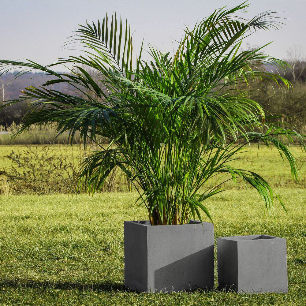 Vaso da Pianta Cubo Grigio – Design Moderno e Robusto