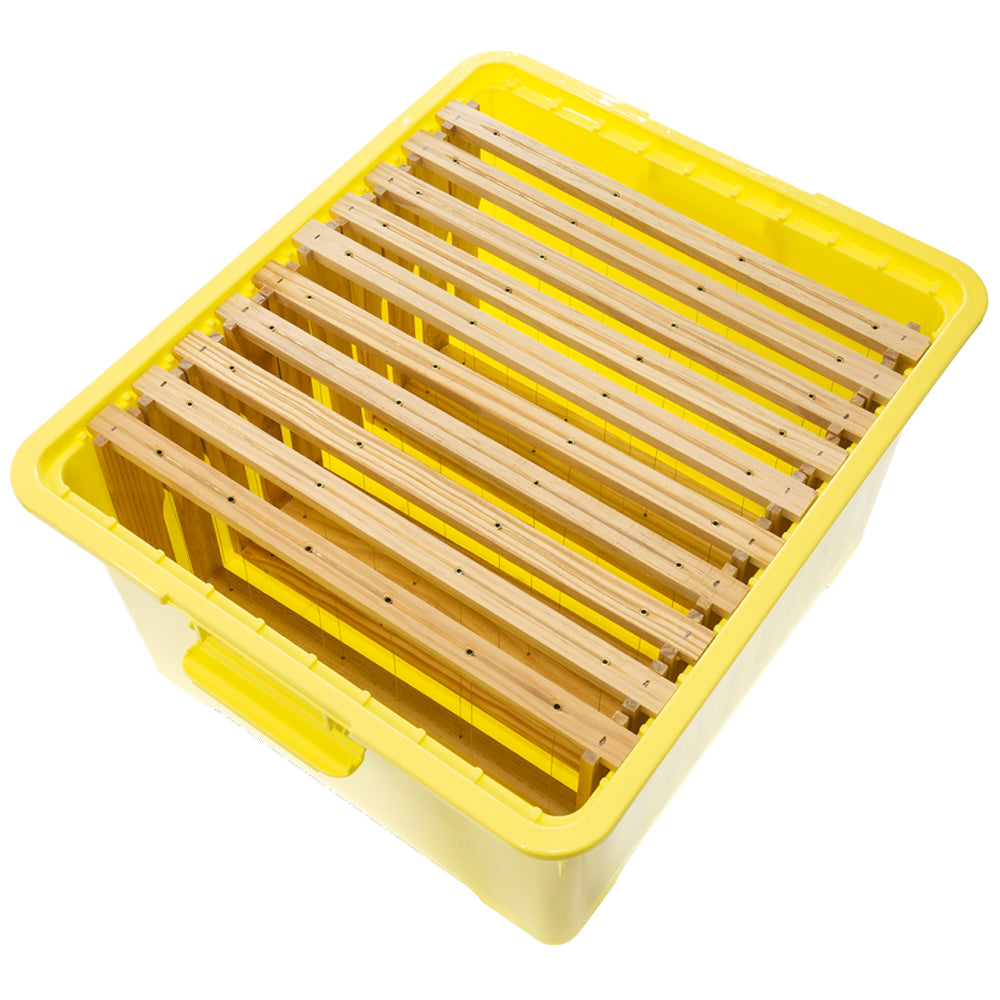 Cassetta di Trasporto in Plastica per Scorte DN Basso / ZA Basso