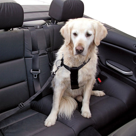 Pettorina regolabile per cani da auto in nylon nero con imbottitura e moschettone