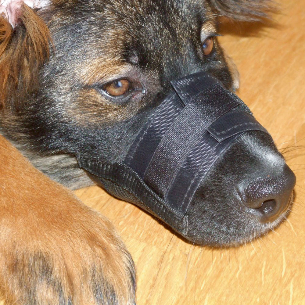 Museruola in nylon nero con chiusura a strappo e rete regolabile