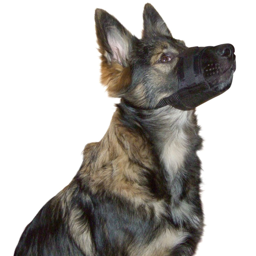 Museruola in nylon nero con chiusura a strappo e rete regolabile