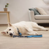 Guinzaglio per Cani Lima Nero/Blu in Plastica – 100cm