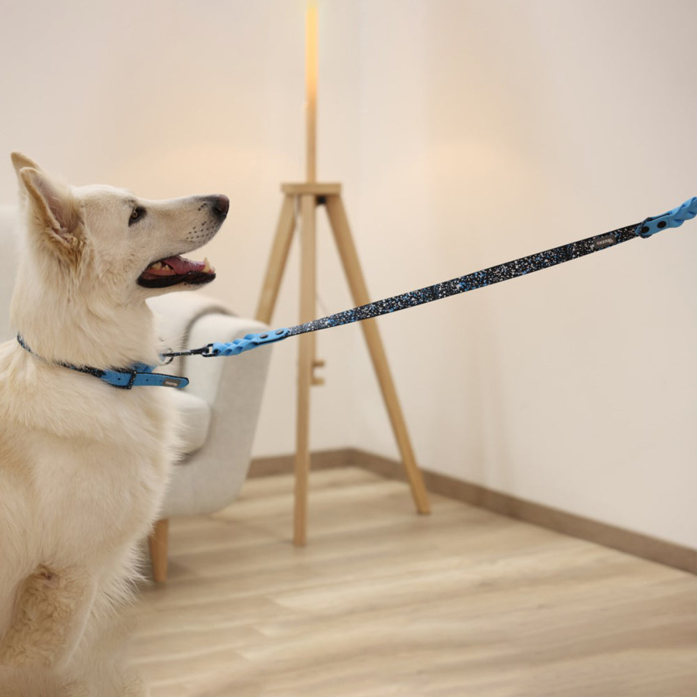 Guinzaglio per Cani Lima Nero/Blu in Plastica – 100cm