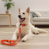 Guinzaglio da passeggio Puno e Lima 200cm.