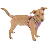 Pettorina regolabile per cani di piccola taglia rosa e blu