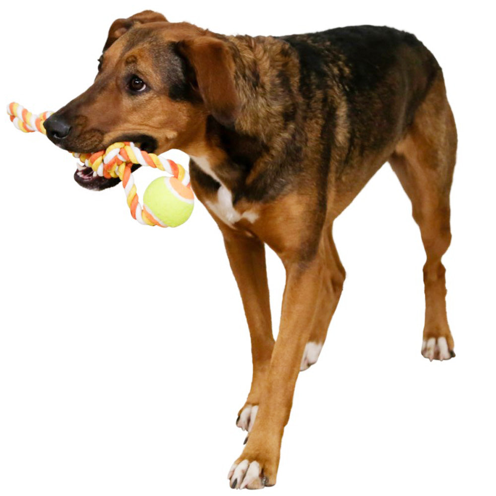 Palla con corda in cotone per cani