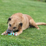 Coni ToyFastic Giocattolo per cani, 15 x 6,5cm