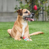 Coni ToyFastic Giocattolo per cani, 15 x 6,5cm