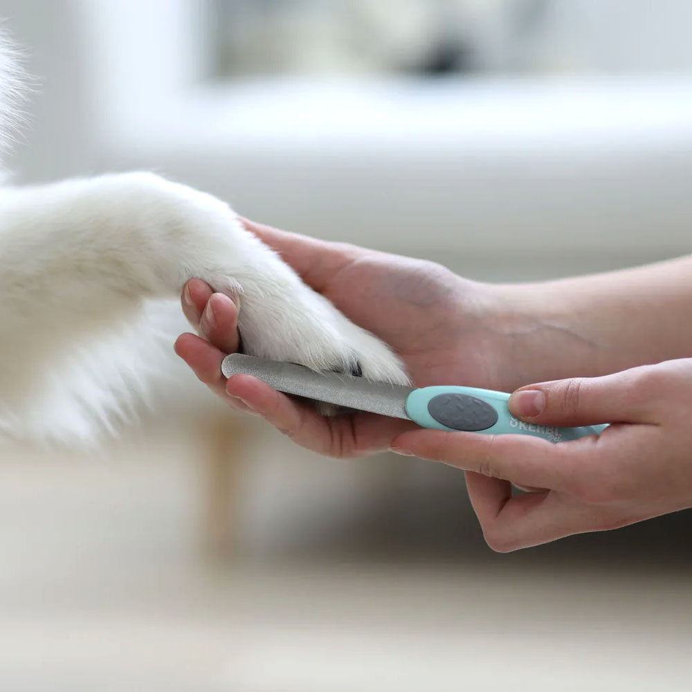 Lima per unghie curvata per cani 16cm